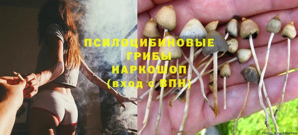 спиды Аркадак