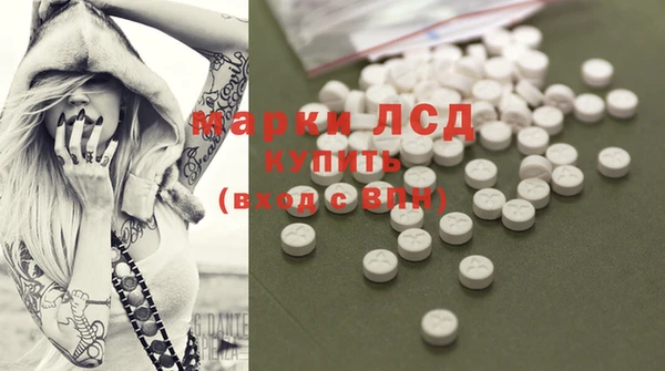 спиды Аркадак