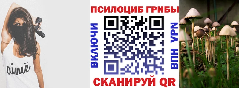 где можно купить   Нижний Ломов  Псилоцибиновые грибы ЛСД 